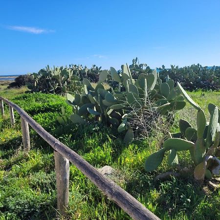 Appartamento Demetrio 50M Mare & Shopping Lido Marini Εξωτερικό φωτογραφία
