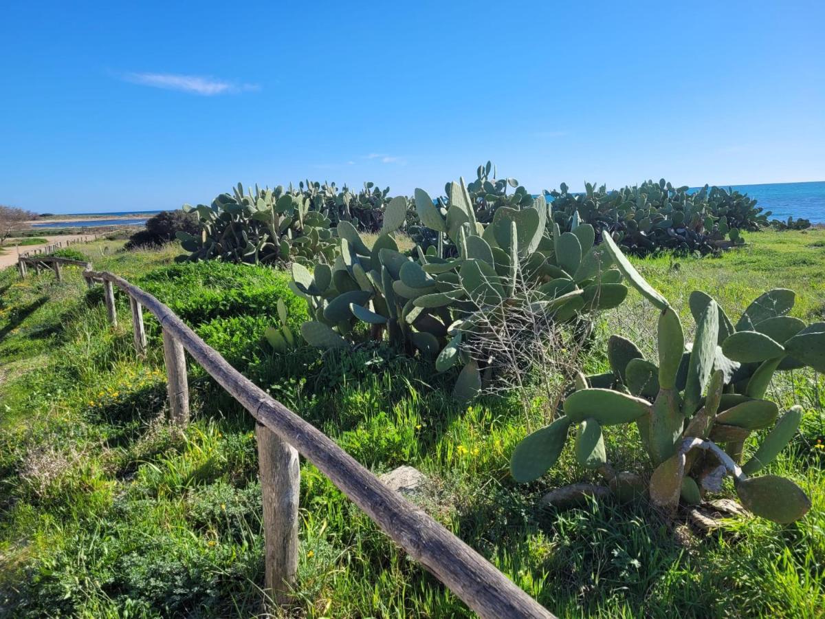 Appartamento Demetrio 50M Mare & Shopping Lido Marini Εξωτερικό φωτογραφία